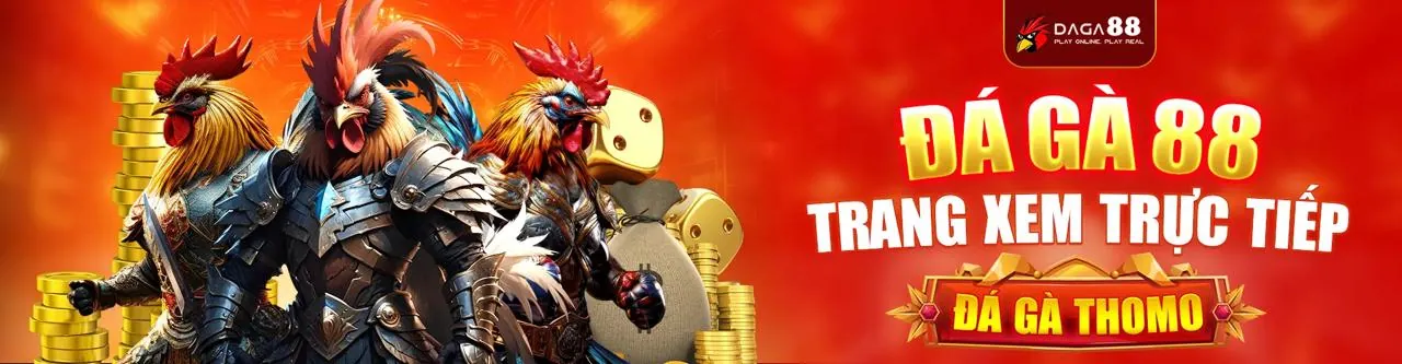 Đá Gà Trực Tiếp KKWIN APP